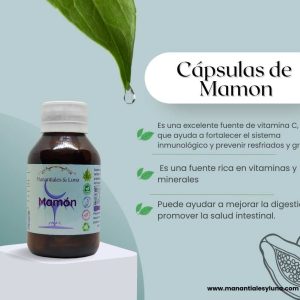 Mamon Cap. Frasco. Vidrio. Ámbar. 
60cáp. 0.434mg