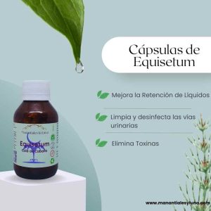Equisetum cap Frasco Vidrio Ámbar
60cap. 0.386mg