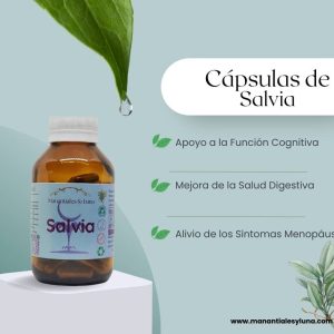 Salvia cap Frasco. Vidrio. Ámbar.
60cáp. 0.320mg