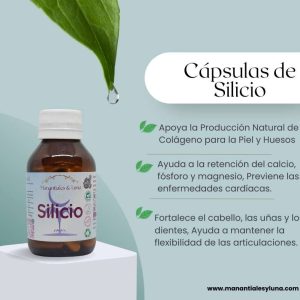 Silicio cap Frasco. Vidrio. Ámbar.
60cáp. 0.394mg