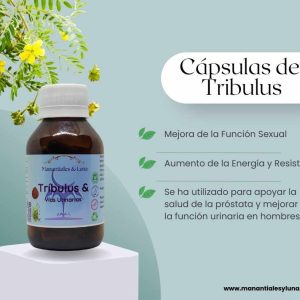 Tribulus cap Frasco. Vidrio. Ámbar.
60cáp. 0.542mg