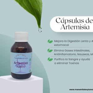 Artemisa cap Frasco. Vidrio. Ambar.
60cáp. 0,280mg.