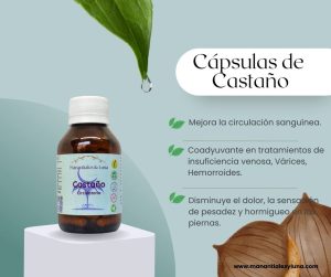 Castaño de indias cap Frasco. Vidrio. Ámbar. 
60cáp. 0.438mg