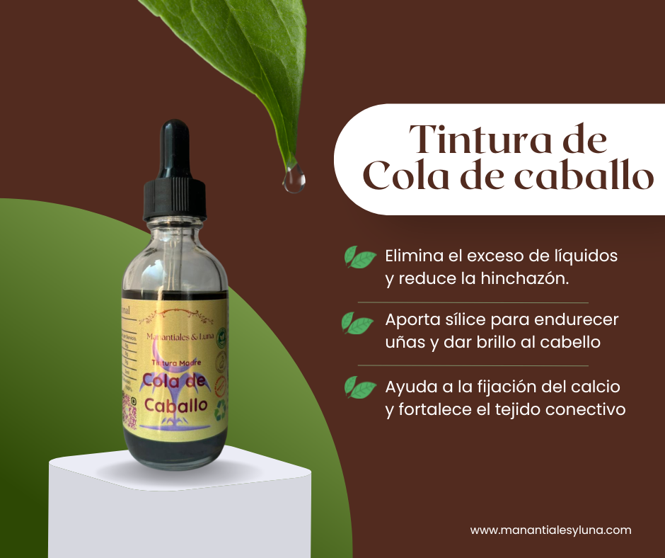 Cola de caballo tm50 Frasco, vidrio, ambar, 50ml
c/gotero, Contiene Alcohol 98%