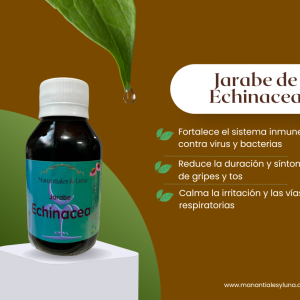 Echinacea jar Frascos