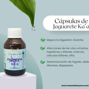 Jaguarete kaa cap Frasco. Vidrio. Ámbar. 
60cáp. 0.336mg