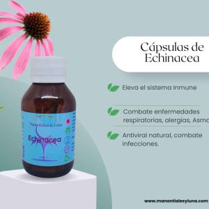 Echinacea cap Frasco. Vidrio. Ámbar. 
60cáp. 0.416mg